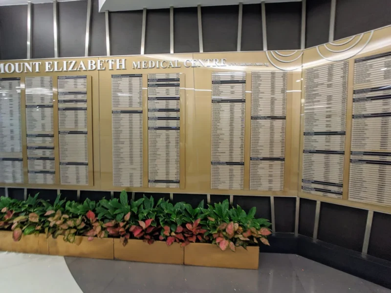 Singapura Salah Satu Pilihan Tempat Berobat WNI, Berikut Penjelasannya