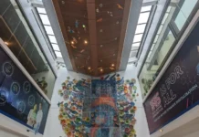 Prosedur Pemeriksaan Jantung Lengkap di IJN Malaysia Prosedur Pemeriksaan Jantung Lengkap di IJN Malaysia