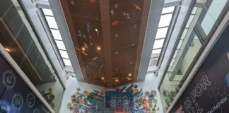 Prosedur Pemeriksaan Jantung Lengkap di IJN Malaysia Prosedur Pemeriksaan Jantung Lengkap di IJN Malaysia