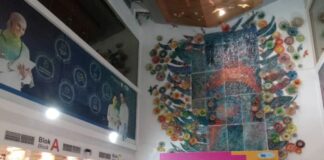 Perbedaan Angiogram dan CT Coronary: Mana yang Tepat untuk Anda? Perbedaan Angiogram dan CT Coronary: Mana yang Tepat untuk Anda?